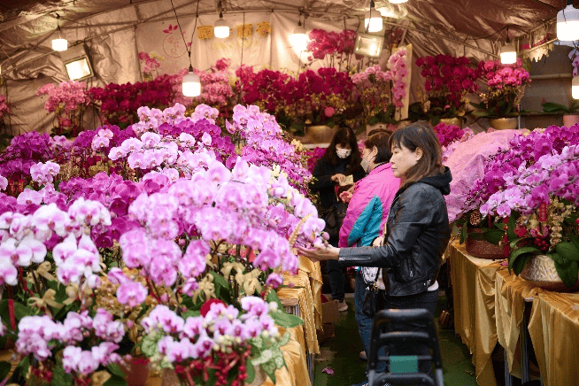 玩指南丨时髦生活篇麻将胡了电子游戏趣(图12)